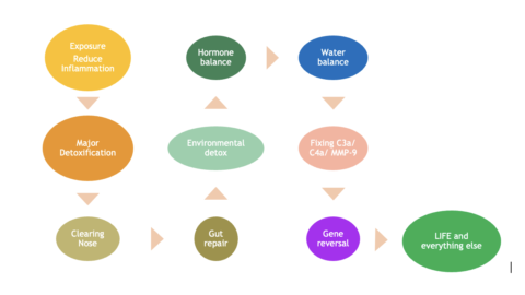 CIRS treatment flow chart at Functional GYN